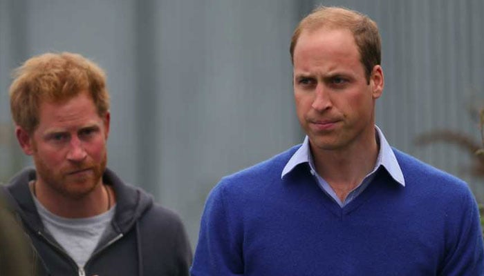 Prince William frustrated with Prince Harry for refusing to help Kate Middleton