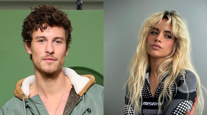 Camilla Cabello parties with mystery man after reunion with Shawn Mendes