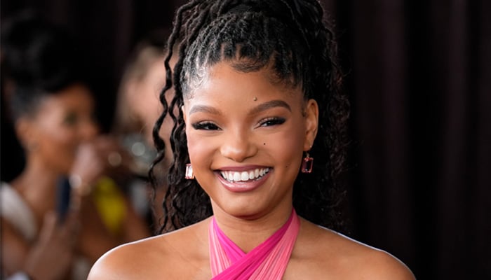 Halle Bailey treats fans with sweet twinning moment with her son