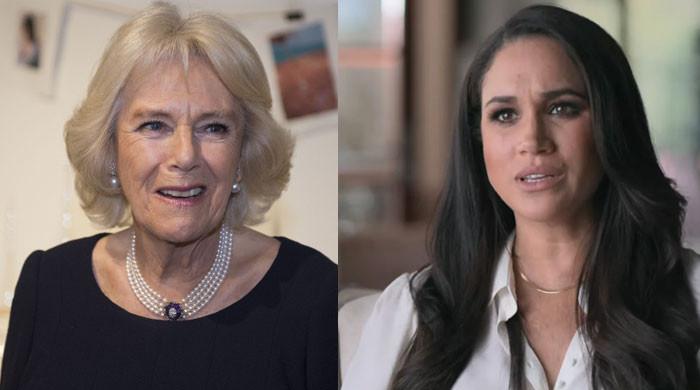 Meghan Markle relationship with mother-in-law Queen Camilla comes to light