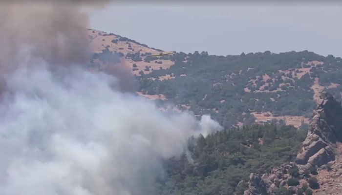 Thick smoke rises from a wildfire in western Turkey on August 17, 2024. — Reuters