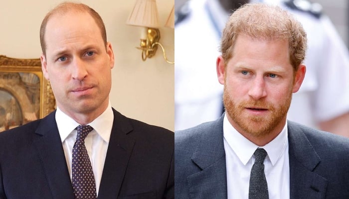 Prince William makes final call about Harry’s return to royal family