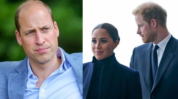 Prince William â€ ̃loathes' Meghan Markle for 'stealing' his â€ ̃beloved' Harry away