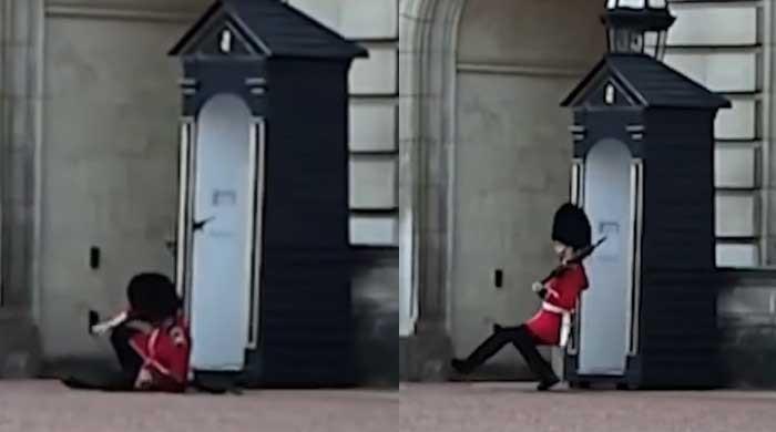 Video of the incident at Buckingham Palace goes viral