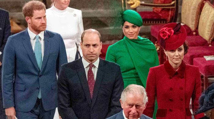 King Charles, Prince William desperate for Harry and Meghan's help