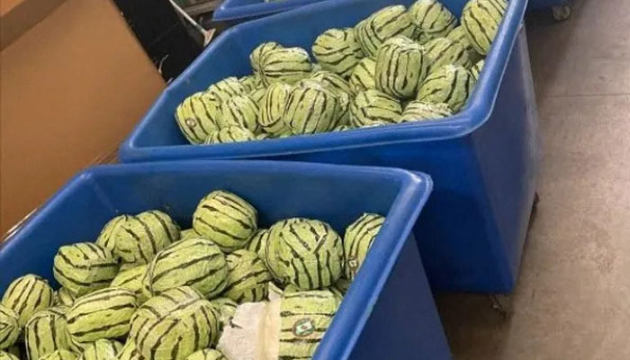 This undated and unlocated handout image released on August 20, 2024 by US Customs and Border Protection shows packages wrapped in paper and made to look like watermelons. — AFP