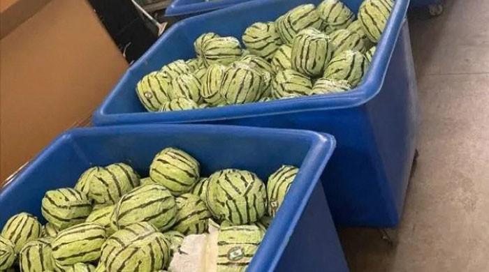 Smugglers disguise meth as watermelons in US Dtrends