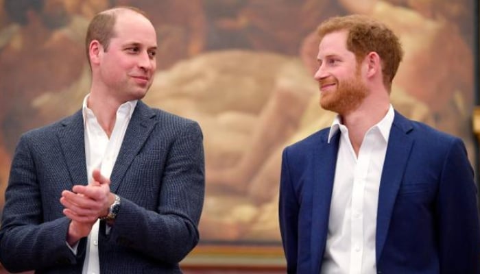 Prince Harry finds common ground with William after never-ending rivalry