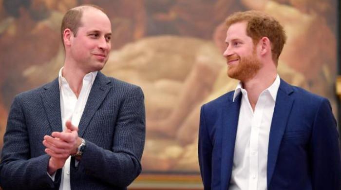 Prince Harry finds common ground with William after never-ending rivalry