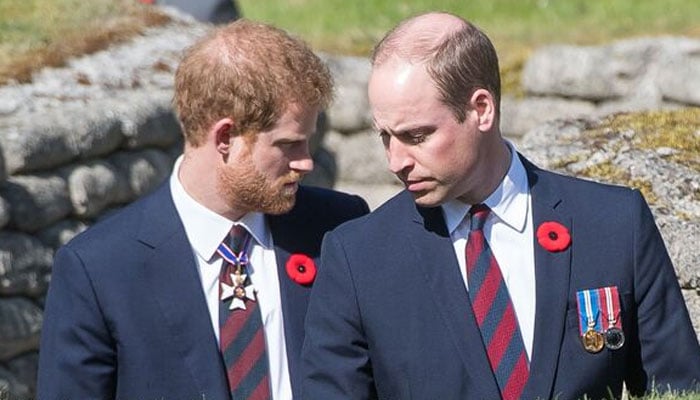 Royal expert shares major claim about Prince William, Prince Harry reunion