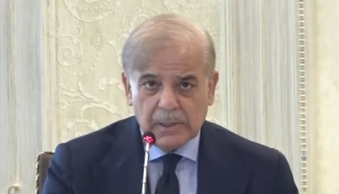 Prime Minister Shehbaz Sharif addressing a meeting of the federal cabinet in Islamabad on August 27, 2024. — Screengrab/YouTube/Geo News Live