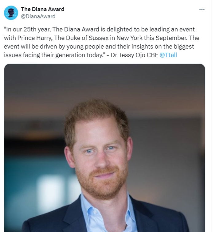 Diana Award CEO makes big statement about Prince Harry amid rift with William