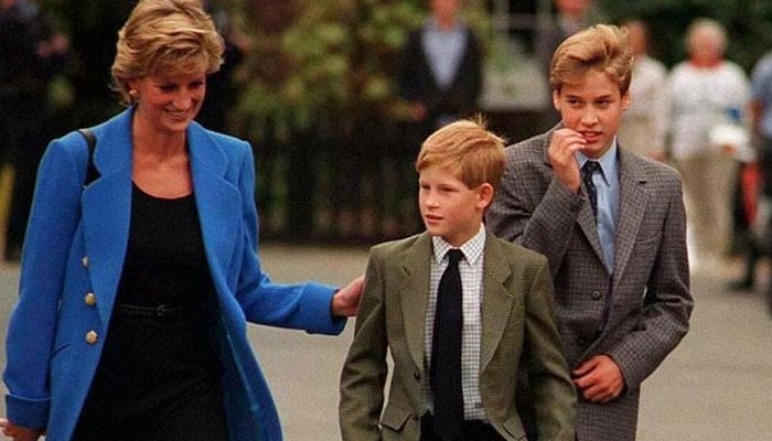 Diana Award CEO makes big statement about Prince Harry amid rift with William