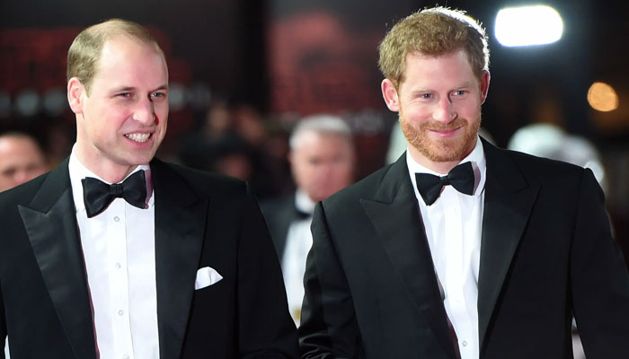 Prince William breaks silence on reunion with Prince Harry in NYC