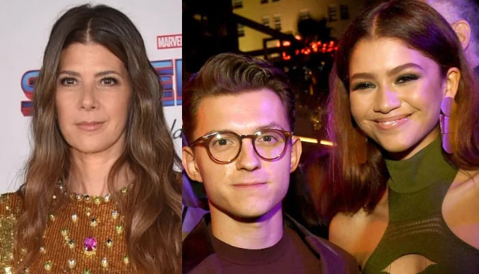 Marisa Tomei played Aunt May in the Spider-Man films by Tom Holland and Zendaya