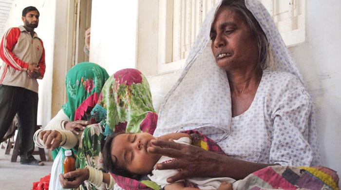 Over 41% of Pakistani women suffer from anaemia, survey reveals