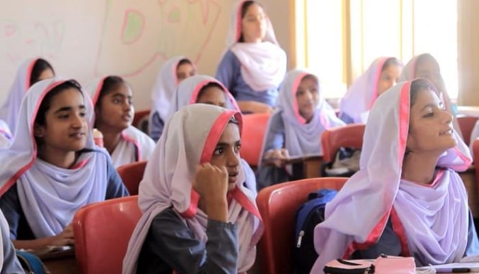 Female students sudying in a school in Sindh. —Sindh School Education Department website/ File