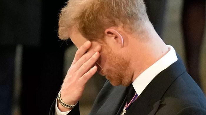 Prince Harry seeks Royal redemption with â€ ̃part time' role