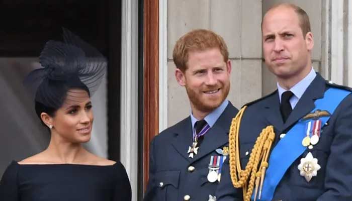 Meghan Markle regrets decision as Prince Harry reunites with William