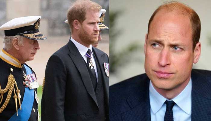 Prince Harry makes new plan amid speculations about King Charles abdication