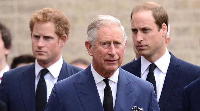 Prince William, King Charles take drastic step against Prince Harry