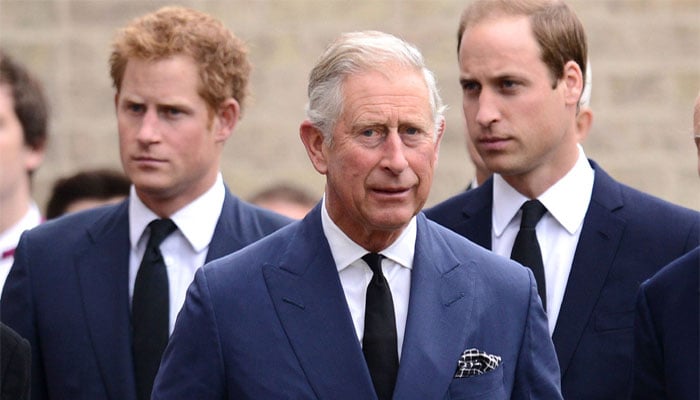 Anti-monarchy reacts to Prince Harrys reconciliation with King Charles, William