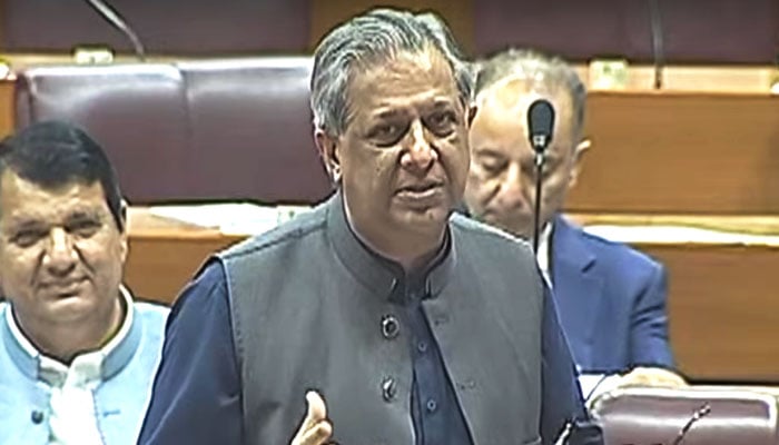 Federal Law Minister Azam Nazeer Tarar speaks during the National Assembly session in Islamabad on September 4, 2024. — Screengrab via Geo News