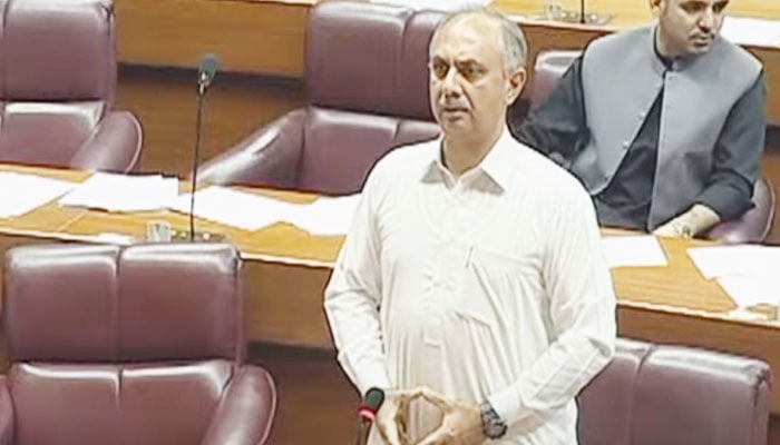 Leader of the Opposition Omar Ayub Khan speaks on the floor of the National Assembly on September 4, 2024. — Screengrab via YouTube/National Assembly Of Pakistan