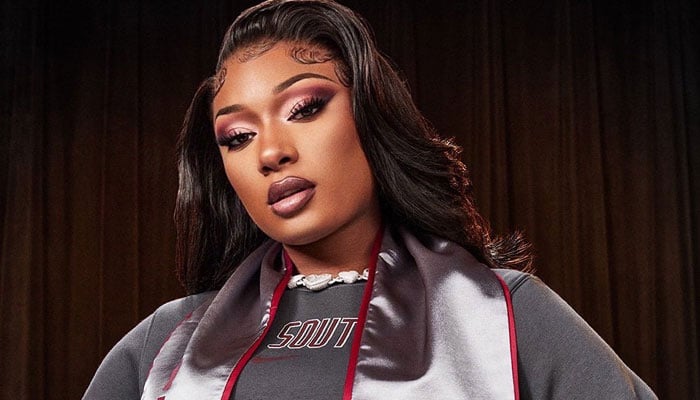 Megan Thee Stallion asks ‘worried haters to ‘reach up on my level