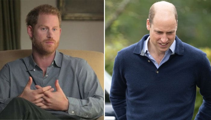 Prince William makes impactful stance against Prince Harrys behavior