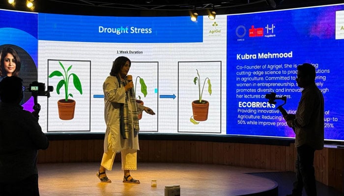 Dr Kubra Mehmood, runner up of the competition, speaks during her pitch. — Photo by author