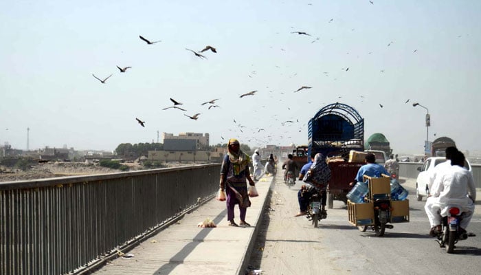 Birds fly over a canal during the summer season, at Sagiyan Bridge in Lahore. —  PPI/File