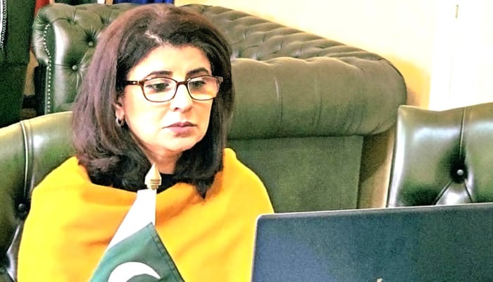 Pakistans Ambassador to the European Union in Belgium, Amna Baloch, hosts a virtual katchehri for the Pakistani community on May 29, 2024. — X/@amnabaloch4