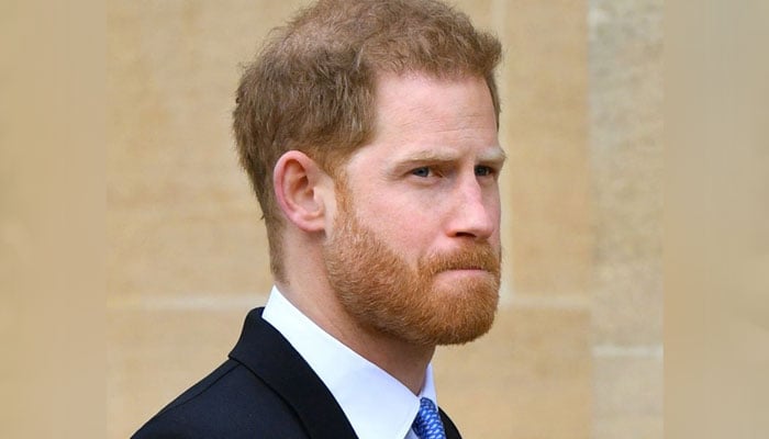 Prince Harry rubbished for thinking hes got a chance