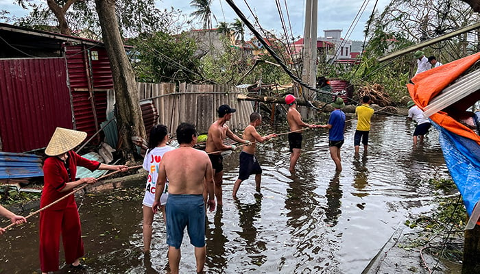 People remove fallen trees following the impact of Typhoon Yagi, in Hai Phong, Vietnam on September 8, 2024. — Reuters