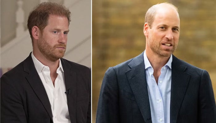 Prince William to eradicate Prince Harrys HRH claim