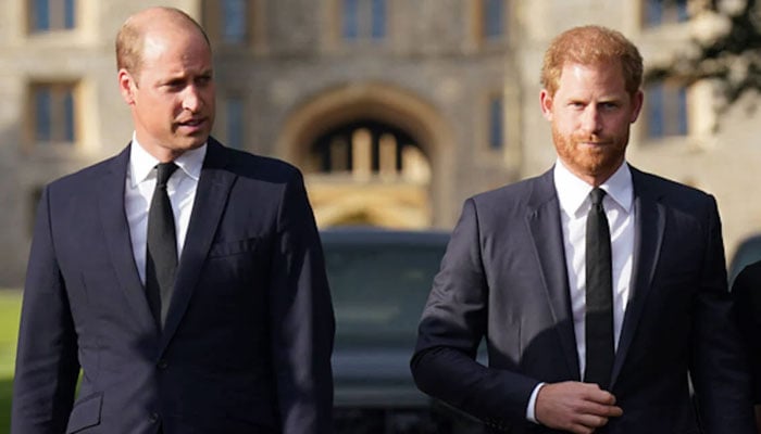 Prince William, Prince Harry feud: Royal butler makes shocking remarks