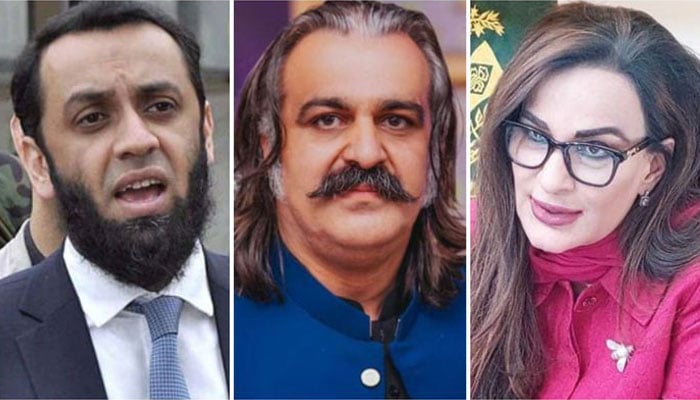 (From left) A collage of federal Minister for Information Attaullah Tarar, KP CM Ali Amin Gandapur and PPP Senator Sherry Rehman. —  APP/X/@ClimateChangePK/@PTI