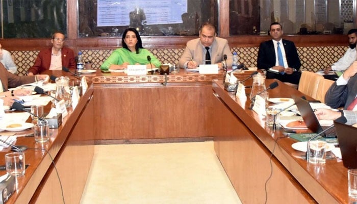 Senator Palwasha Mohammad Zai Khan chairs a meeting of the Senate Standing Committee on IT and Telecommunication at Parliament House Islamabad on July 31. — Senate website