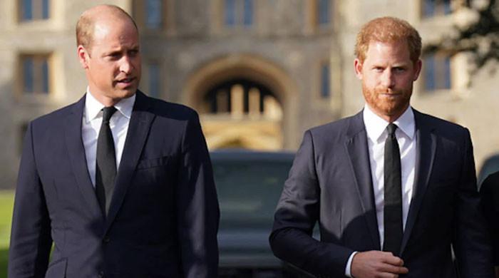 Prince William, Prince Harry feud: Royal butler makes shocking remarks