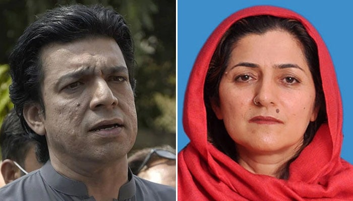 Senator Faisal Vawda (left) and Senator Falak Naz. — Online/Senate of Pakistan