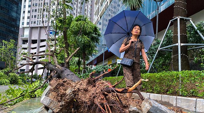 Typhoon Yagi: Death toll rises to 65 in aftermath of Asia’s most powerful storm of 2024