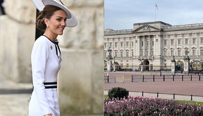 Buckingham Palace shares wonderful news after Kate Middletons announcement