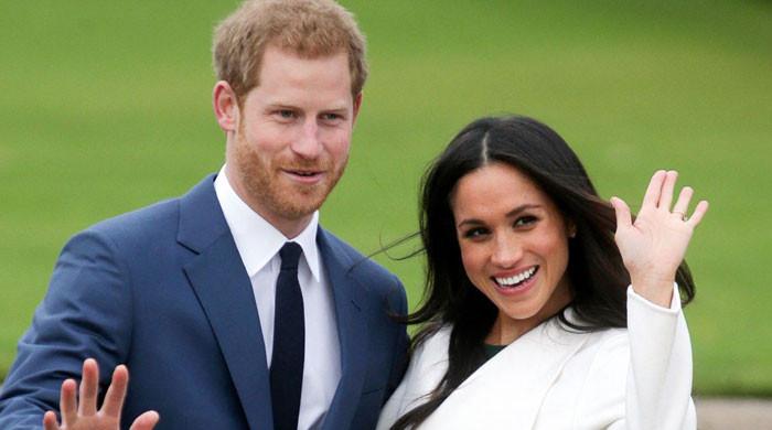 Prince Harry, Meghan Markle reputation under the scanner