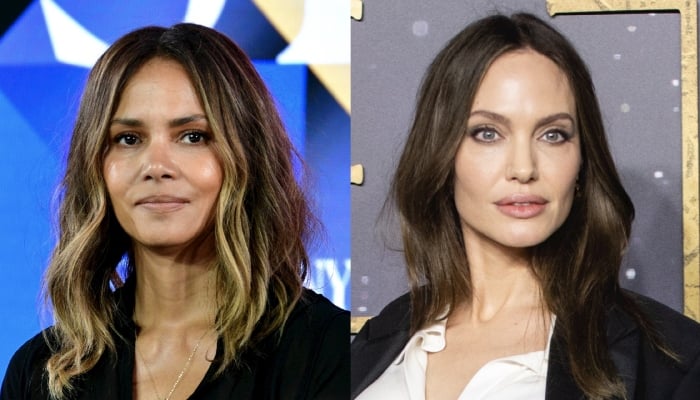 Photo: Angelina Jolie, Halle Berry bond over similar ambitions: Source