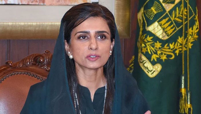 Former Minister of State for Foreign Affairs Hina Rabbani Khar at 20th Session of the D-8 Council of Ministers Dhaka, 27 July 2022 via video link. — INP/File