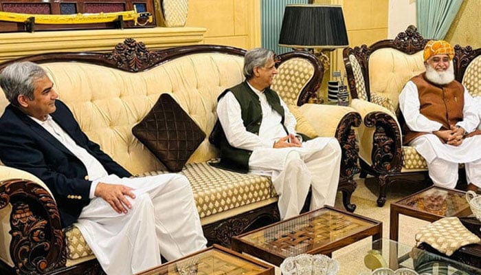 Government delegation led by Deputy Prime Minister Ishaq Dar meets JUI-F chief Maulana Fazlur Rehman in Islamabad on September 15, 2024. — Radio Pakistan