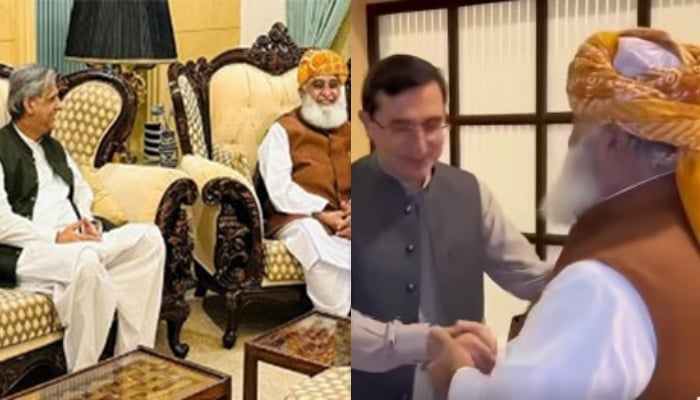 JUI-F Chief Maulana Fazlur Rehman meets PML-Ns Azam Nazeer Tarar (left) and PTI Chairman Barrister Gohar Khan. — Screengrab via Facebook/@juipakofficial/File