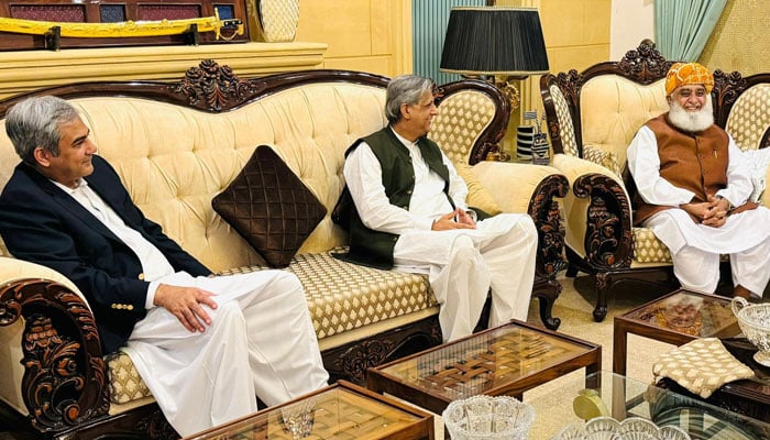 JUI-F Chief Maulana Fazlur Rehman (left) meets Federal Law Minister Azam Nazeer Tarar (centre) and Interior Minister Mohsin Naqvi in this image released on September 15, 2024. — Facebook/@juipakofficial