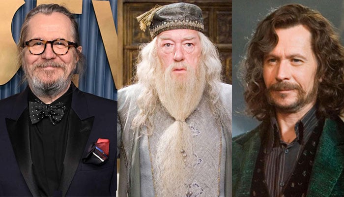 Gary Oldman offers to play Dumbledore in Harry Potter TV series